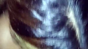 damn, devouring debanhi with raw cock action!