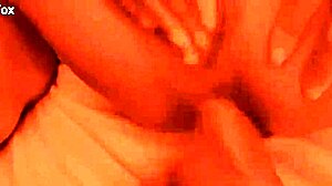 Monika fox loves big toys in ass anal fuck with dildos and other various toys and things compilation 2022