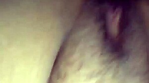 chubby latina shows off curves in raw ass display