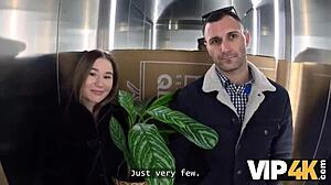 Vip4k Shy And Curvy Babe Amalia Davis Gone Wild With Her Neighbour