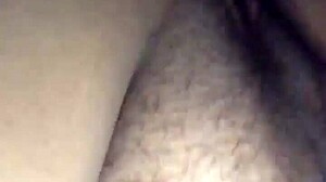 chubby latina shows off curves in raw ass display