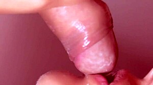 step sister gets facial cumshot in first time blowjob 😏