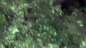 my stepmom lindsay lee is a huge party slut