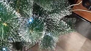 Step sister in christmas costume gives me her holes as gift