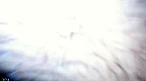 Laura Daniela Exhibits as Hotwife in Mexico City Streets