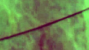 Abigail Mac Lesbian Threesome Oral And Pussy Play