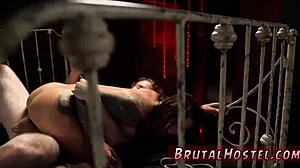 Teen Tourists Felicity Feline Doggy Style