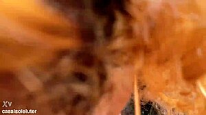 Fuck that blonde hard on the white beach!