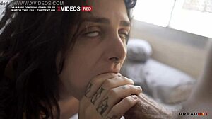 Hot Brunette Teen Blows Cock, Ends With Cumshot In Mouth - Dread Hot