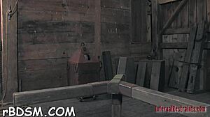 is this marvelous redhead slave ready for hardcore blowjob and bdsm toys on cam?