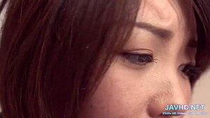 Ever felt Japanese boobs like in Vol 100 HD?