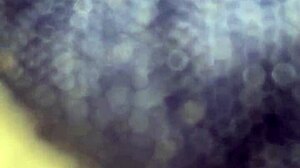 She sucks cock expertly.