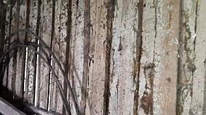 Autumn Romantic Lesbian Sex in Hut