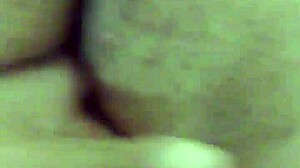 bbw latina tranny gets fucked bareback in a raw gay encounter