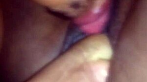 No input for this ID, skipping