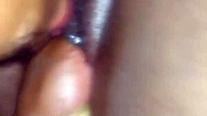 No input for this ID, skipping