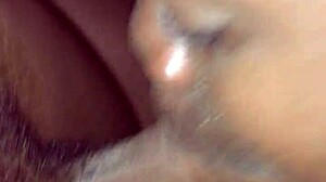 No input for this ID, skipping