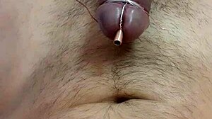 No input for this ID, skipping