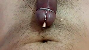 No input for this ID, skipping