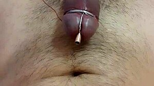 No input for this ID, skipping