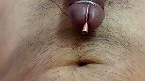 No input for this ID, skipping