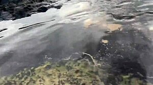 i cum on stranger's tits and she feeds it to fish on beach