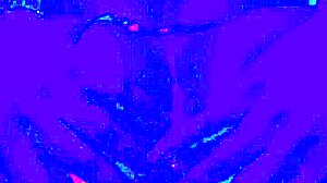 bleu room's anal finger fuck solo