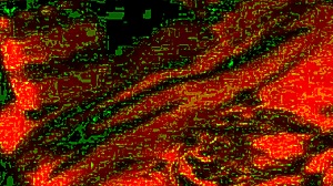 real homemade wedding couple fuck