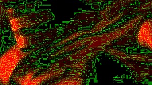 real homemade wedding couple fuck