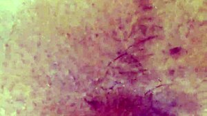 My Wife Gives Me A Blowjob, And It's So Homemade And Amateur!