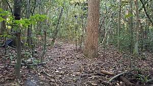 A Stranger Nailed Me Hard In The Forest