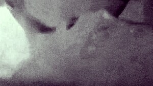 Disgruntled housewife mrs quinn craves oral pleasure