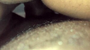 Nia Bleu Takes Brickzilla's Monster Cock Hard!