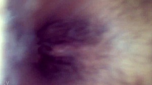 Comendo anega do tr�s barras