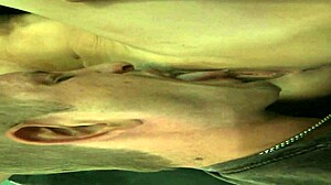 Sexy Diamond displays her big tits while fucking a horny man in heels.