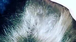 Justcallmekarma Delivers Intense Blowjob to Hard Cock