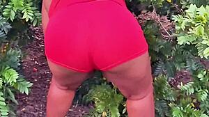 my evangelical neighbor picking fruits