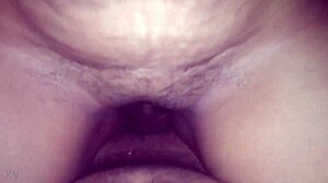 Comendo anega do tr�s barras