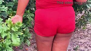 my evangelical neighbor picking fruits