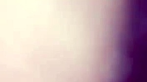 Comendo anega do tr�s barras