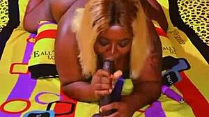 i share my homemade video update from november 3, 2024