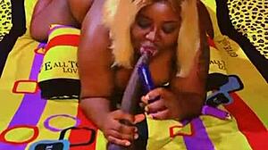 i share my homemade video update from november 3, 2024