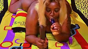 i share my homemade video update from november 3, 2024