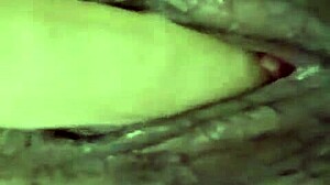 dana barzagli's latina teen body masturbates with dildo and toys.