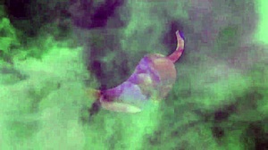 reporter from sao paulo enjoys anal sex with big dick guy in rio