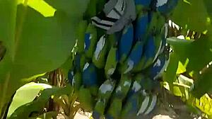 Mother-In-Law Alone With Me, Big Cock In Her Ass