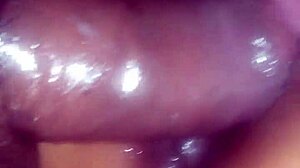 My wife enjoys cream pie.