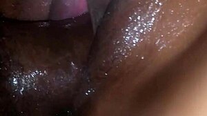 My wife enjoys cream pie.