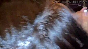 reporter from sao paulo enjoys anal sex with big dick guy in rio