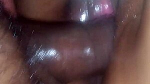 My wife enjoys cream pie.